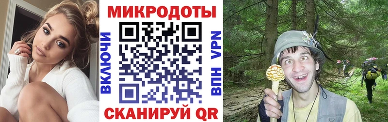 Галлюциногенные грибы GOLDEN TEACHER  Яровое 
